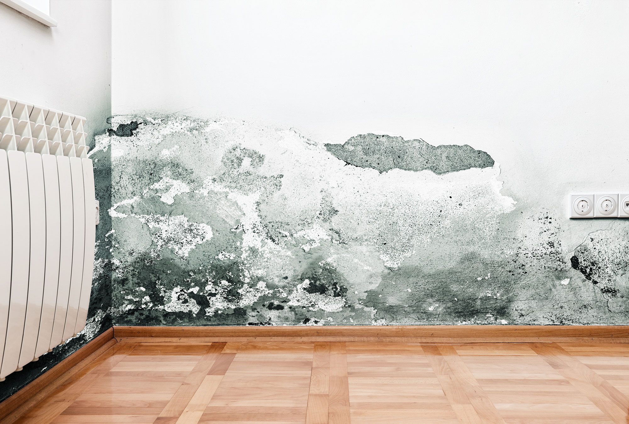 24/7 Mold damage restoration and mold remediation services - CMC Construction, Anchorage, AK