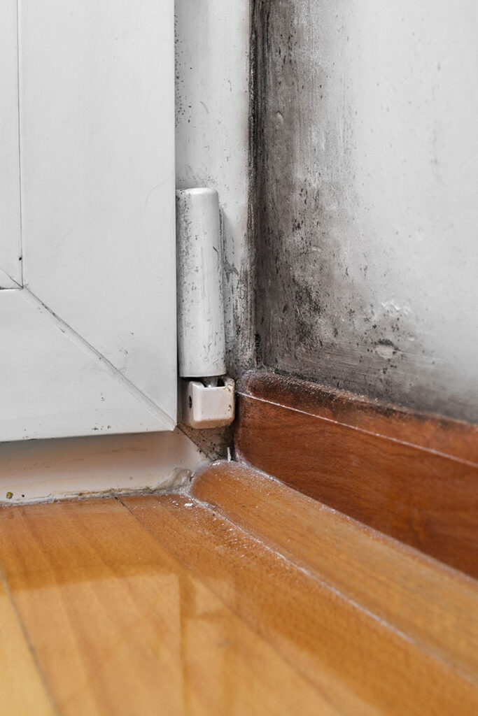 Mold formations are a serious problem for both your health and your home.